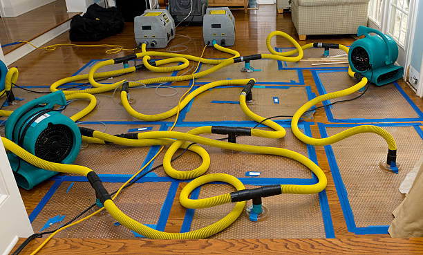 Professional Crawl Space Water Removal technician working in Freehold, NY